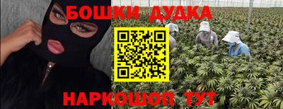 сатива Новокубанск