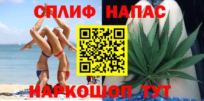 сатива Новокубанск