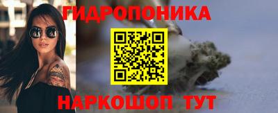сатива Новокубанск