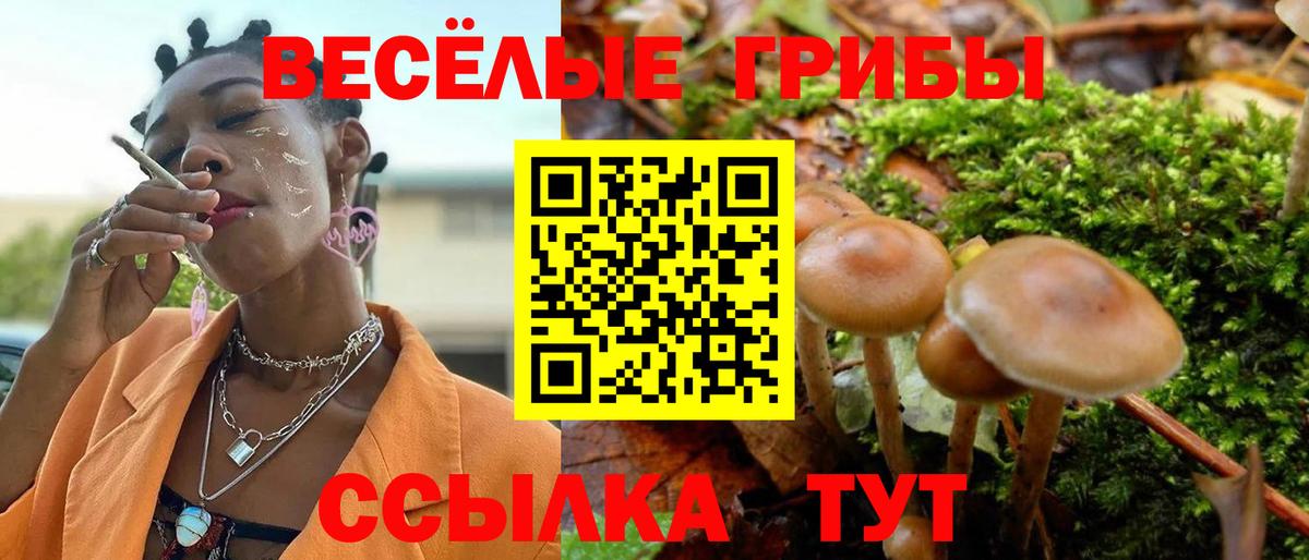 Псилоцибиновые грибы Cubensis Рязань